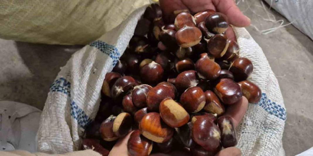 Tescilli lezzet geri döndü! Kış şimdi tamamlandı: Pazarda sezon resmen açıldı! 4